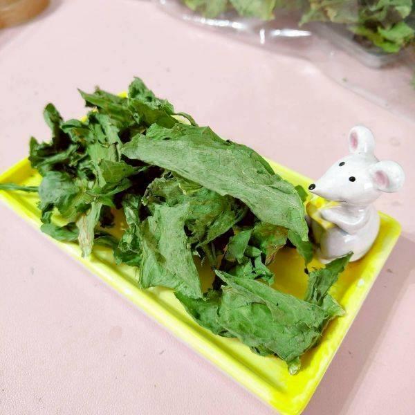 咩醬王國 鹿角萵苣 