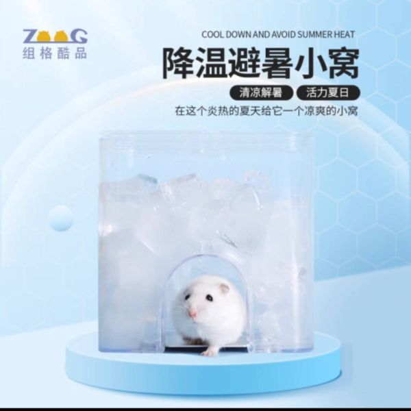 水立方 避暑小窩 
