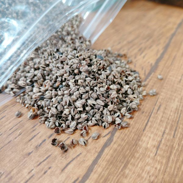 咩醬王國 高溫殺菌蕎麥殼 低粉塵挖掘墊料 