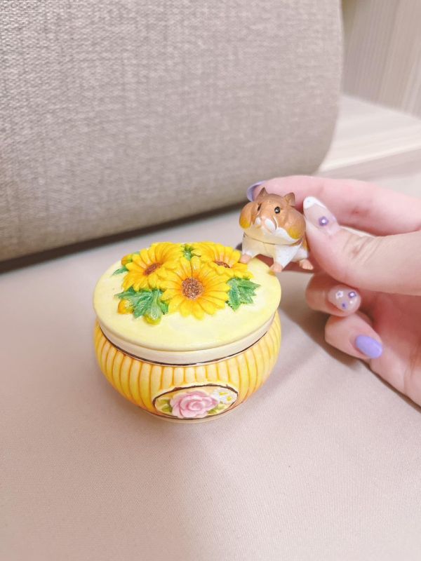 咩醬王國 彩虹窩 中款 雛菊M09 