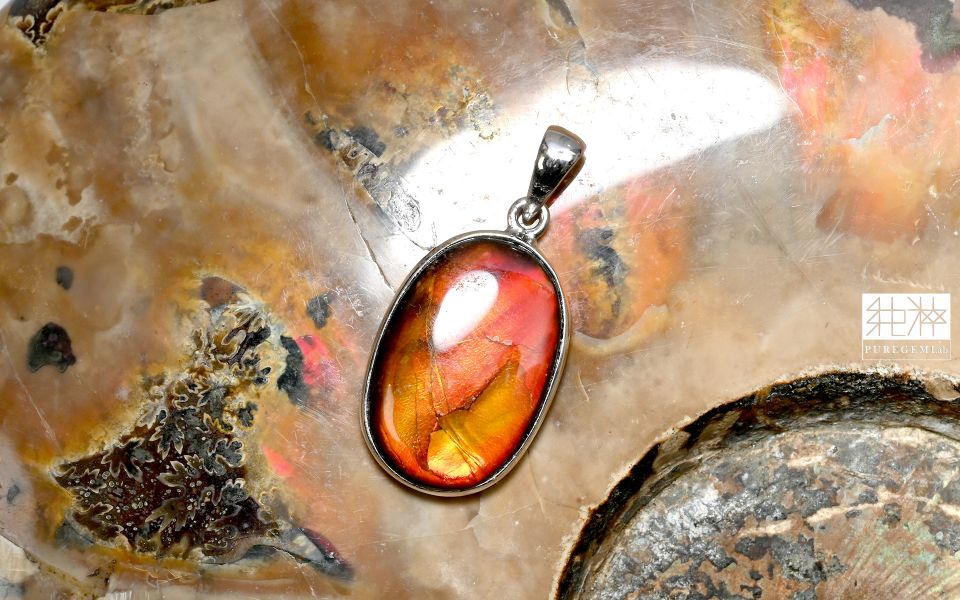 頂級彩斑菊石純銀墜 馬達加斯加彩斑菊石,菊石,彩斑菊石