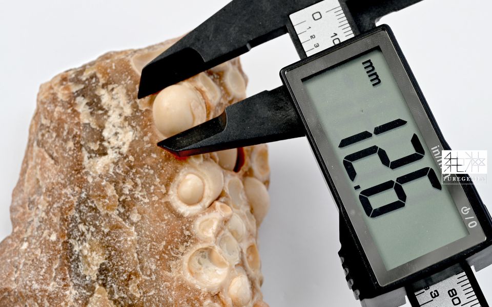 豐盛富足 / 頂級天然泰國龍宮舍利原礦 龍宮舍利,舍利,原礦