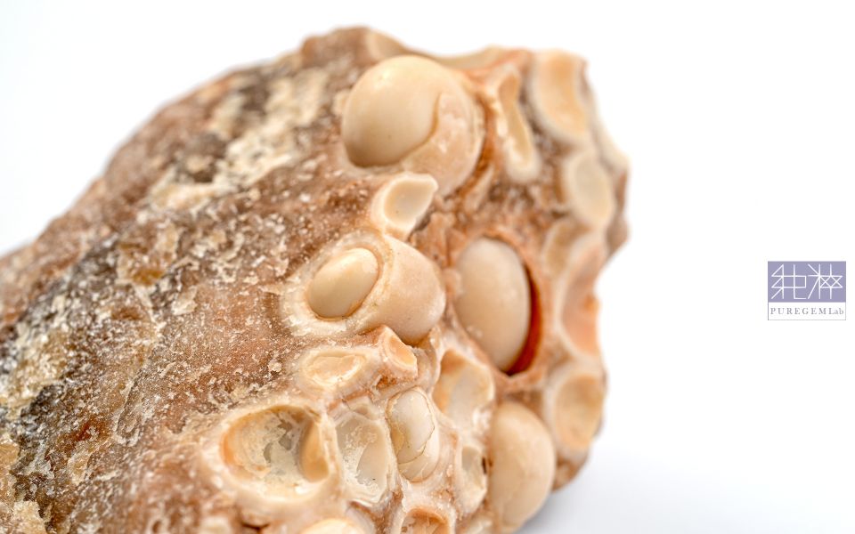 豐盛富足 / 頂級天然泰國龍宮舍利原礦 龍宮舍利,舍利,原礦