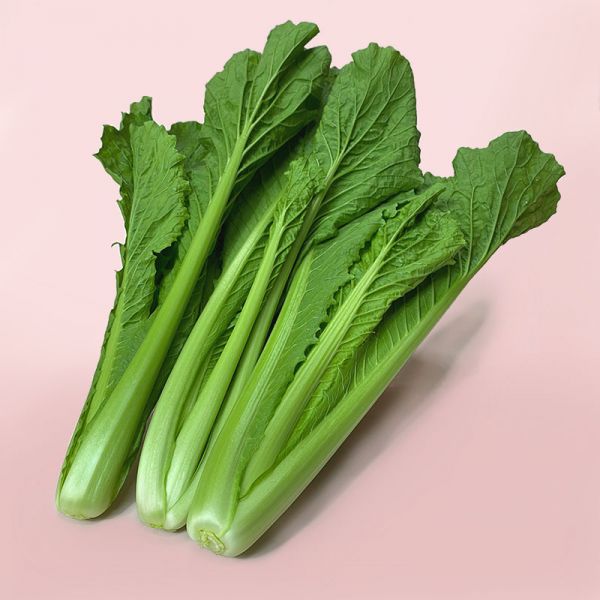 青松菜 260g【安全環保】 青松菜,青松菜是什麼,哪裡買,青松菜料理,青松菜營養