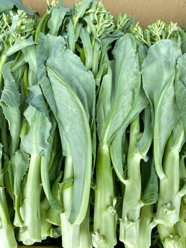 (新採收)芥蘭菜 300g【安全無毒】 台灣芥蘭菜,無毒蔬果,無農藥蔬菜,買菜網,買菜推薦,蔬果宅配,線上買菜推薦