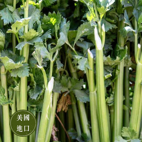 檢驗核格| 美國進口西洋芹 20斤一件【無毒安全】冷藏宅配 免運費 有機西洋芹,有機西洋芹哪裡買,西洋芹宅配,有機西洋芹,有機西洋芹宅配,台灣西洋芹