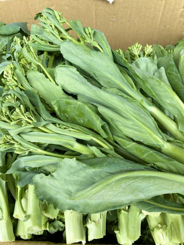 (新採收)芥蘭菜 300g【安全無毒】 台灣芥蘭菜,無毒蔬果,無農藥蔬菜,買菜網,買菜推薦,蔬果宅配,線上買菜推薦