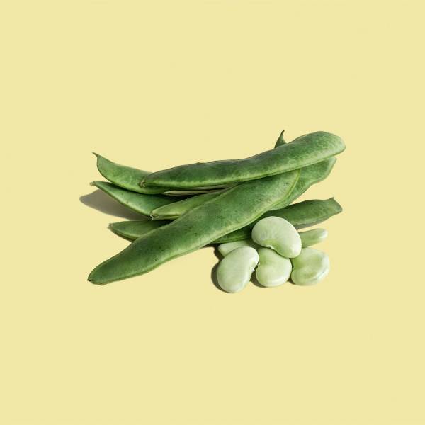 草生栽種 去殼皇帝豆200g(真空裝) 皇帝豆,新鮮皇帝豆,新鮮採收,埔里能高山生機農場