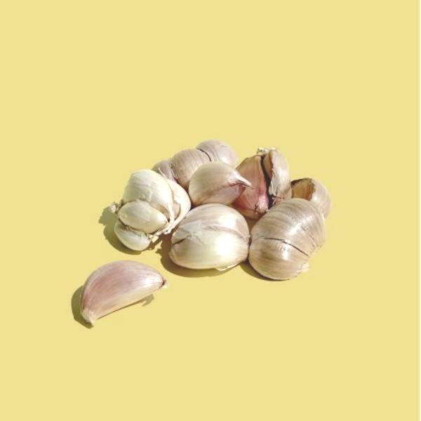 無毒栽種 台灣蒜頭  200g 台灣蒜頭,新蒜頭,台灣蒜頭產地