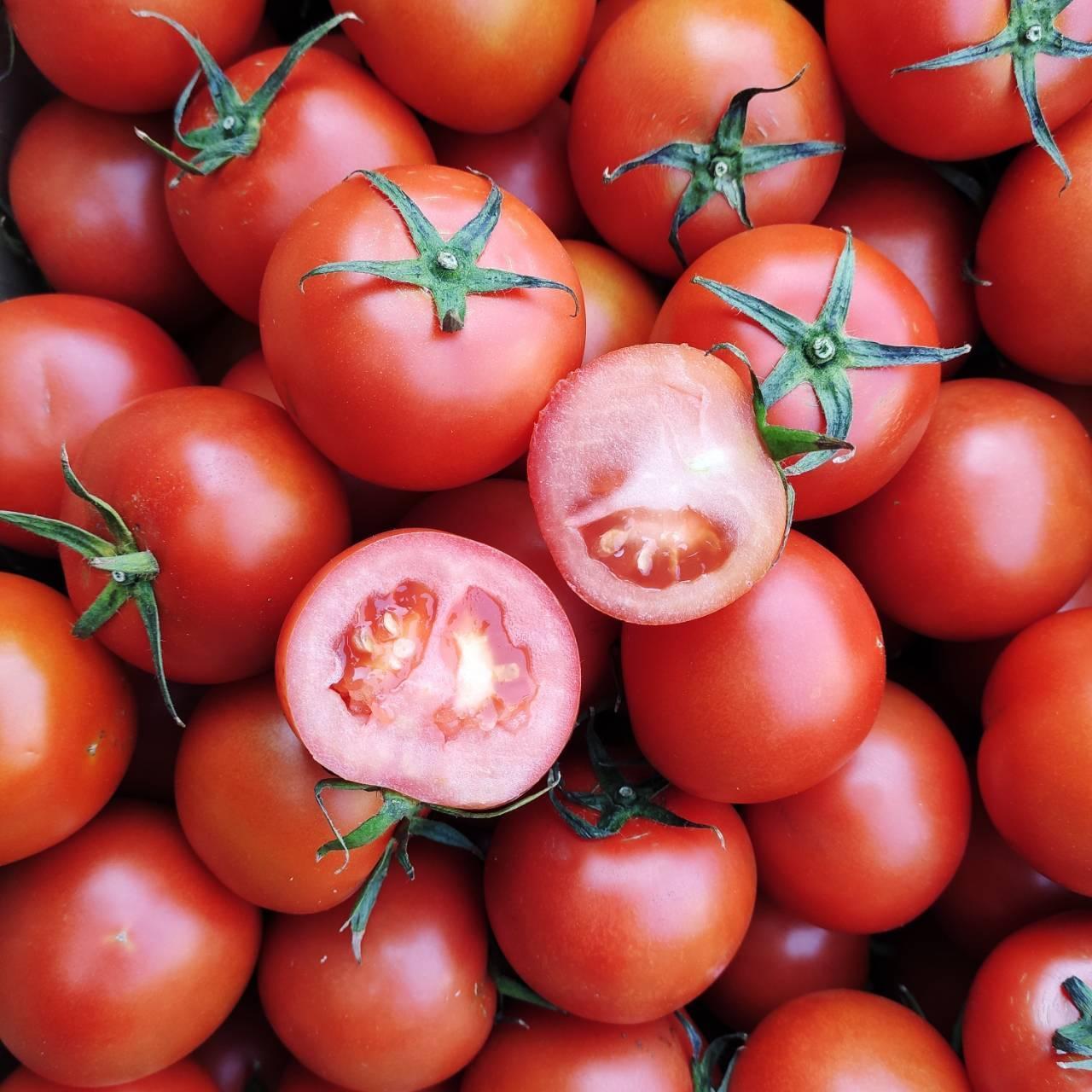 埔里能高山農場當季優質蔬果