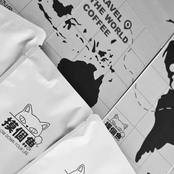 【喜歡嚐鮮就選我】環遊世界綜合耳掛組 10入/盒裝 精品綜合耳掛,耳掛咖啡,濾掛咖啡