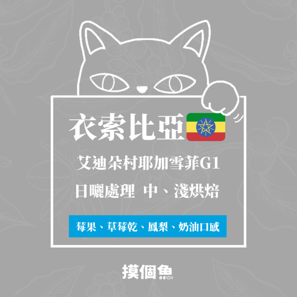 【人氣首選】衣索比亞艾迪朵村耶加雪菲G1 日曬 耳掛式咖啡 10入/盒 咖啡豆,自烘豆,自家烘焙咖啡豆,耳掛式咖,濾掛咖啡,摸個魚咖啡,精品咖啡豆,阿拉比卡豆,耶加雪菲