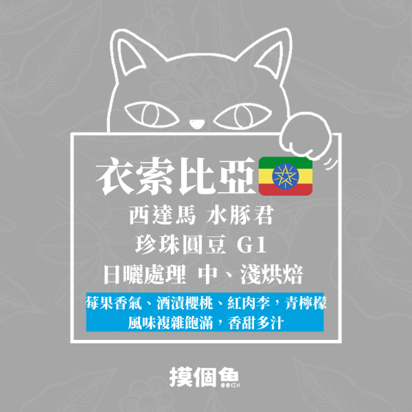 衣索比亞 西達馬 水豚君 珍珠圓豆 G1 日曬處理 耳掛式咖啡 10入/盒 咖啡豆,自烘豆,自家烘焙咖啡豆,耳掛式咖,濾掛咖啡,摸個魚咖啡,精品咖啡豆,阿拉比卡豆,耶加雪菲