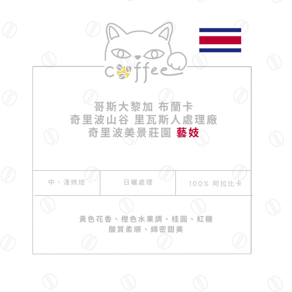 哥斯大黎加 布蘭卡 奇里波山谷 里瓦斯人處理廠 奇里波美景莊園 日曬 藝妓 水洗 耳掛式咖啡 10入/盒 (中烘焙 / 淺烘焙) 咖啡豆,自烘豆,自家烘焙咖啡豆,耳掛式咖,濾掛咖啡,摸個魚,精品咖啡豆,阿拉比卡豆,藝妓咖啡