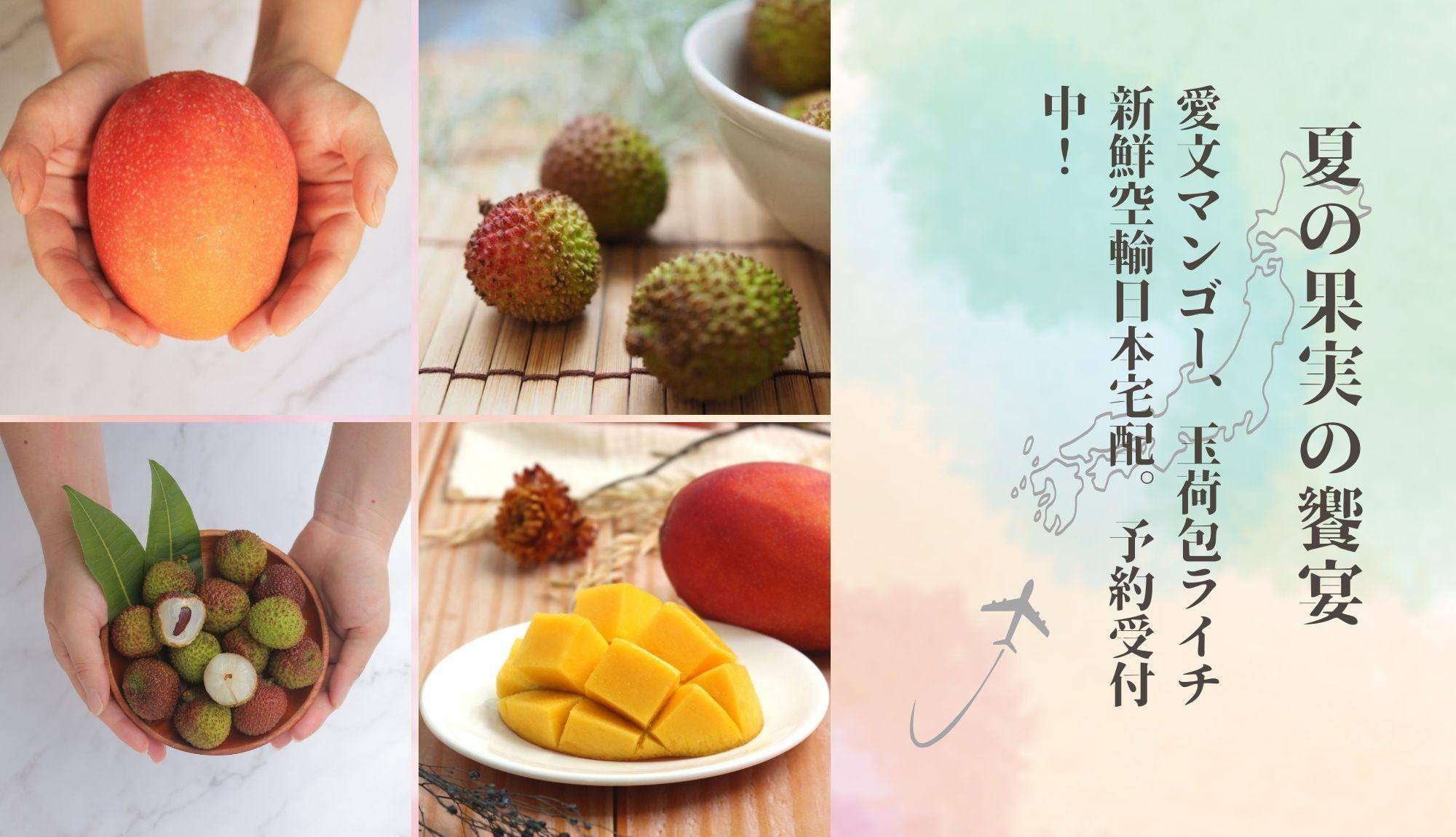 フルーツ夏祭り -  台湾 フルーツ 通販 専門店．SHINANTW｜台湾の果物ライチ アップル マンゴー ブンタン ナツメ産地直送日本