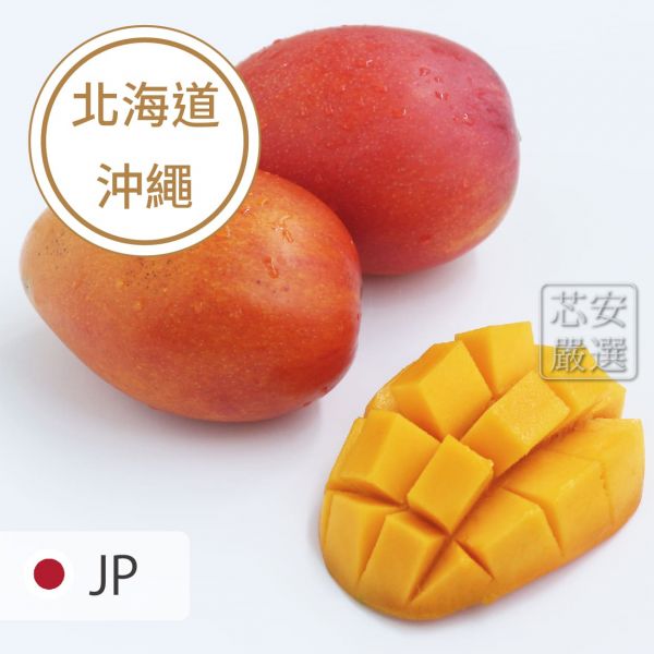 台湾産愛文マンゴー（太陽のタマゴと同品種）アップルマンゴー 空運輸入 最大の割引 - 果物