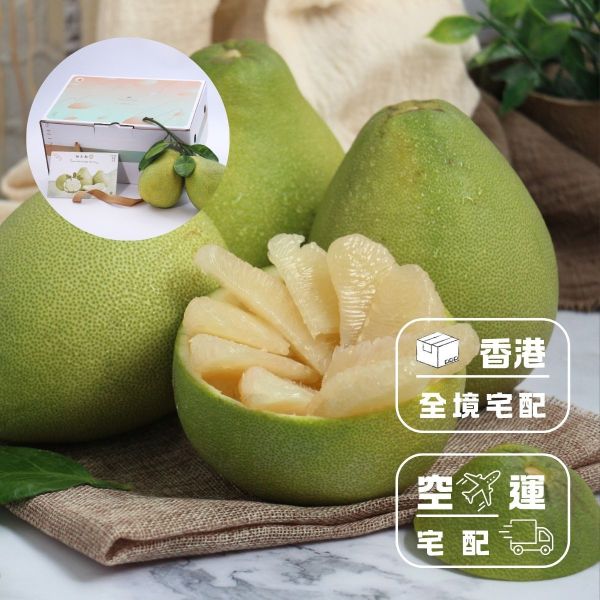 台南麻豆文旦宅配香港｜40年老欉文旦3kg/箱｜空運香港宅配｜中秋禮盒首選 文旦送香港,文旦寄香港,文旦宅配香港,柚子寄香港,柚子宅配香港,柚子送香港,中秋禮盒,中秋送禮香港,水果宅配香港,中秋送禮推薦,文旦柚,台南麻豆,麻豆文旦