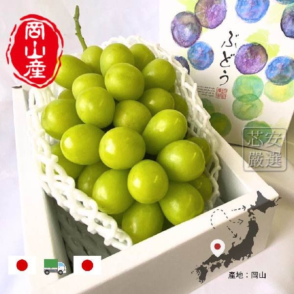 岡山産晴王シャインマスカット 赤秀品 約620g～720ｇ 化粧箱入り 岡山県産 ぶどう ブドウ 葡萄 フルーツ ギフトボックス プレゼント シャインマスカット, シャイン マスカット, 2023 シャインマスカット 日本, シャイン マスカット 値段, シャイン マスカット 狩り, シヤ イン マス カツト, シャイン マスカット 安い, シャイン マスカット 選び方, シャイン マスカット 高級,