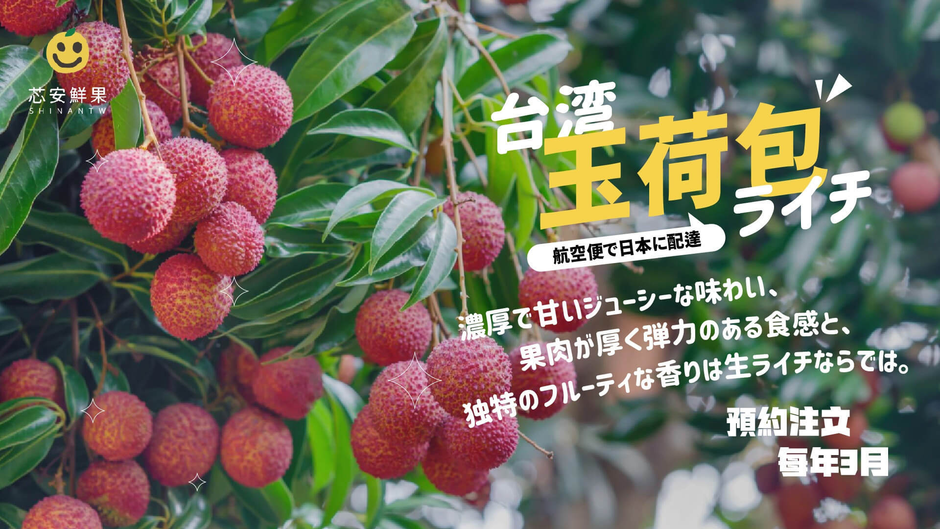 台湾 フルーツ 通販 専門店．SHINANTW｜台湾の果物ライチ アップル