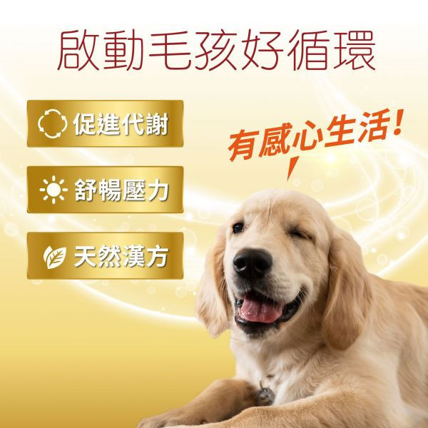 【惜福品】犬貓適用 | 心血管保健膠囊-Ｑ10輔酶＆紅蚯蚓酵素等六大循環心關鍵配方 / 50粒裝(盒) 高齡犬貓,犬貓適用,毛孩,寵物保健,寵物心臟病,寵物心臟保健,Ｑ10,紅蚯蚓酵素,蚓激酶,寵物中風,心血管保健