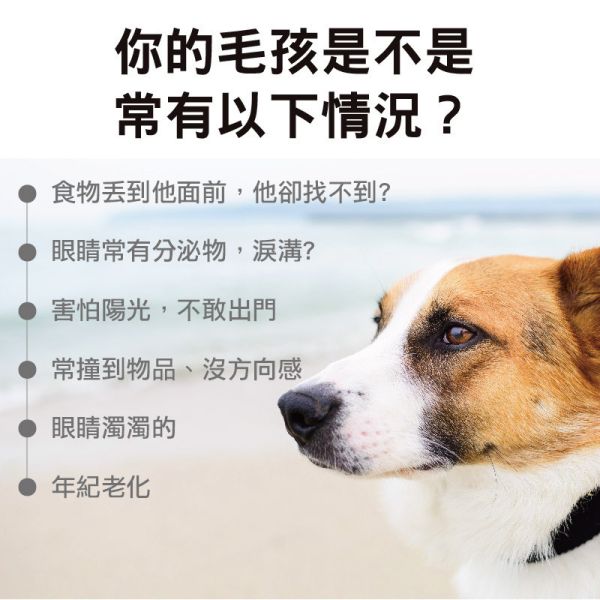 【惜福品】犬貓適用 | 高單位護眼膠囊-游離型葉黃素八合一配方 / 60粒裝 高齡犬貓,犬貓適用,毛孩,寵物保健,寵物護眼,寵物眼睛,寵物葉黃素