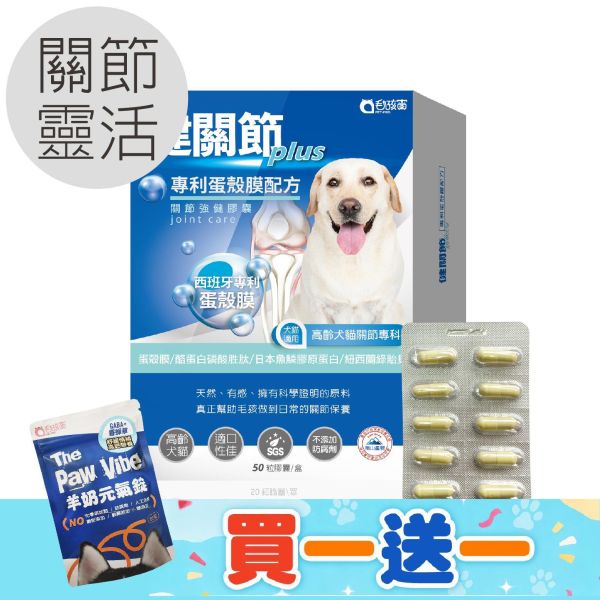 買就送羊奶元氣錠 犬貓適用 | 健關節Plus-專利蛋殼膜/高齡關節好靈活配方 / 50粒裝(盒) 毛孩寶,蛋殼膜,健關節,蛋殼膜功效,關節退化/發炎,膠原蛋白,酪蛋白磷酸胜,紐西蘭綠貽貝,甲基硫醯基甲烷,適口性佳,蛋殼膜關節配方,貓狗關節保養品,維持關節的靈活性,提升肌腱柔韌性,高純度,給足有效劑量,全面性補足營養,SGS 檢驗合格