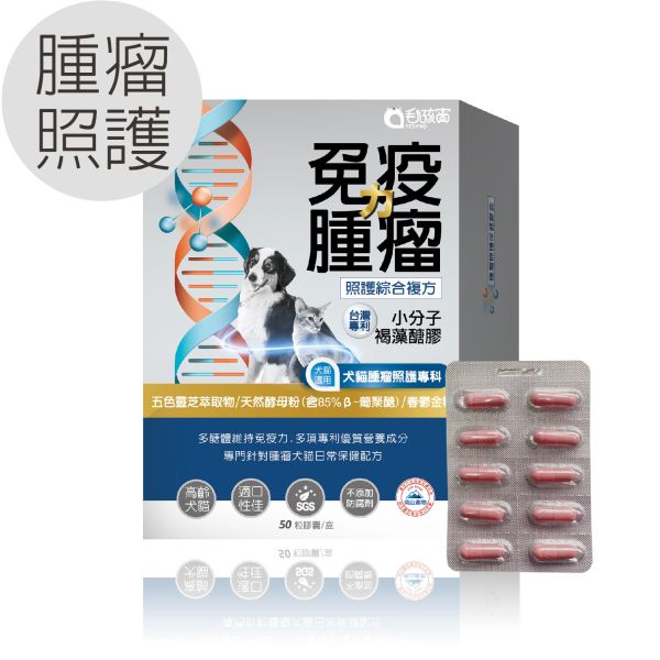85折優惠 犬貓適用 | 免疫力腫瘤照護膠囊-台灣專利小分子褐藻糖膠 / 50粒裝(盒) 孩寶,犬貓免疫力保健,寵物腫瘤照護,褐藻糖膠膠囊,寵物保健品,高齡犬貓保健,犬貓免疫力提升膠囊,寵物手術後保健品,高齡犬貓免疫保健,天然褐藻糖膠推薦,寵物靈芝保健品,狗狗手術後如何提升免疫力,貓咪腫瘤照護保健品推薦,高齡犬貓免疫力下降怎麼辦,褐藻糖膠對寵物有什麼好處,靈芝與葡聚糖在寵物保健中的作用