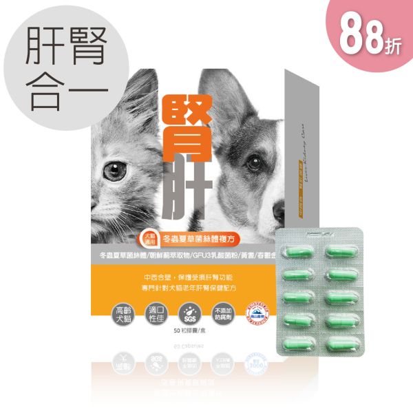 88折優惠 犬貓適用 | 腎肝2合1保健膠囊-冬蟲夏草菌絲體複方 / 50粒裝(盒) 毛孩寶,肝腎保養,肝臟保養品,腎臟保養品,肝腎二合一,冬蟲夏草菌絲體,護肝養腎,黃耆,春鬱金,專利朝鮮薊萃取物,泌尿道專用乳酸菌,天然萃取好吸收,提高營養吸收率ㄝ,SGS 等多項品質檢驗測試