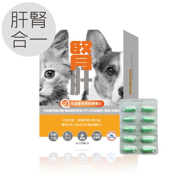 犬貓適用 | 腎肝2合1保健膠囊-冬蟲夏草菌絲體複方 / 50粒裝(盒) 毛孩寶,肝腎保養,肝臟保養品,腎臟保養品,肝腎二合一,冬蟲夏草菌絲體,護肝養腎,黃耆,春鬱金,專利朝鮮薊萃取物,泌尿道專用乳酸菌,天然萃取好吸收,提高營養吸收率ㄝ,SGS 等多項品質檢驗測試