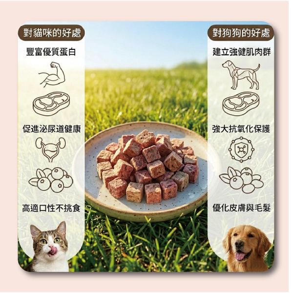 MIX鮮切系列-野性牛香蔓越莓凍乾  40g/包 寵物零食, 貓狗零食, 凍乾零食, 牛肉凍乾, 寵物凍乾, 寵物點心, 肉類零食, 生食級零食, 貓零食, 狗零食, 寵物天然零食, 無添加寵物零食, 貓咪凍乾牛肉, 狗狗凍乾牛肉, 蔓越莓凍乾, 泌尿保健零食, MIT寵物凍乾零食, 犬貓開胃零食, 高蛋白寵物零食, 天然寵物點心
