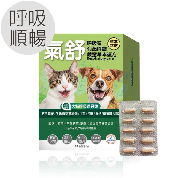 犬貓適用 | 氣舒呼吸道保健膠囊-十種草本萃取精華溫和有感照護 / 50粒裝(盒) 毛孩寶,犬貓呼吸道保健,寵物保健品,高齡犬貓保健,寵物草本保健
犬貓氣管保健膠囊,寵物咳嗽舒緩產品,靈芝寵物保健品,高齡犬貓呼吸道保健品,寵物免疫力提升保健品
高齡犬氣喘舒緩保健品推薦,寵物呼吸道保健草本成分介紹,犬貓呼吸道問題常見症狀與保健對策,狗狗氣管塌陷怎麼辦,貓咪咳嗽有痰的原因與解決方法