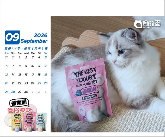 限量！2026毛孩健康守護桌曆-內含百元優惠碼 犬貓凍乾零食,寵物旗魚零食,毛孩寶凍乾,寵物保健零食,犬貓營養補充凍乾推薦,高齡犬貓適用旗魚凍乾,毛孩寶機能凍乾功效,寵物有感添加營養凍乾,機能營養凍乾對犬貓健康的好處,如何選擇適合犬貓的旗魚凍乾零食,毛孩寶海味旗魚凍乾使用心得,高齡犬貓營養補充凍乾推薦