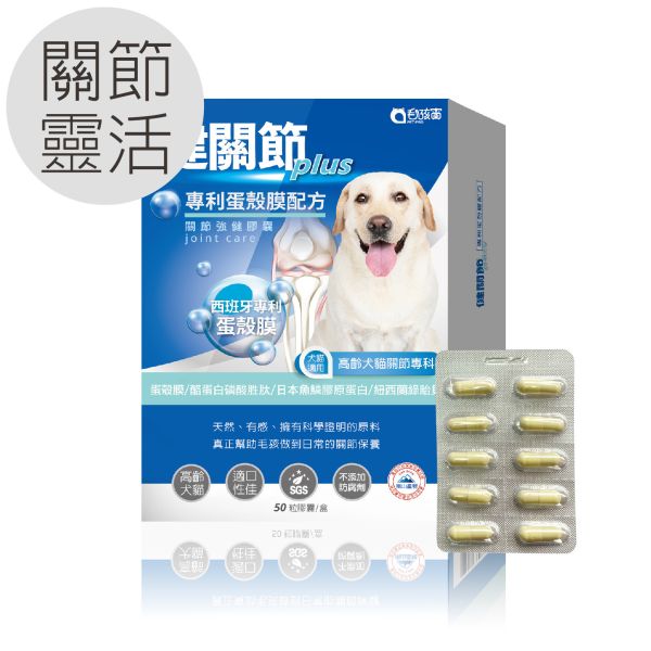 85折優惠 犬貓適用 | 健關節Plus-專利蛋殼膜/高齡關節好靈活配方 / 50粒裝(盒) 毛孩寶,蛋殼膜,健關節,蛋殼膜功效,關節退化/發炎,膠原蛋白,酪蛋白磷酸胜,紐西蘭綠貽貝,甲基硫醯基甲烷,適口性佳,蛋殼膜關節配方,貓狗關節保養品,維持關節的靈活性,提升肌腱柔韌性,高純度,給足有效劑量,全面性補足營養,SGS 檢驗合格