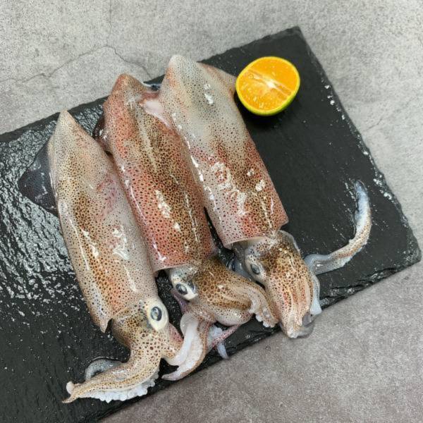 澎湖活凍小卷 250g/包 