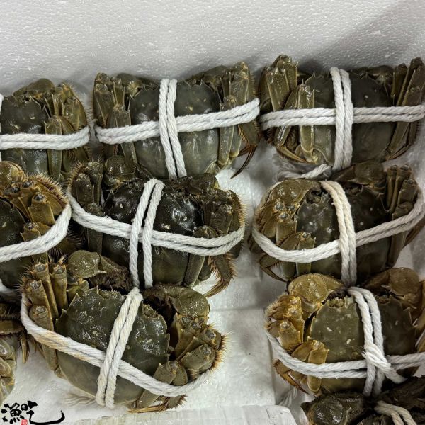 江蘇大閘蟹 2A(公) 5.8兩~6.5兩 預計12/17開始配送 