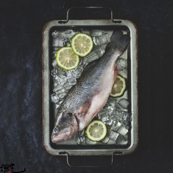 山泉鱸魚 每尾400g~500g 