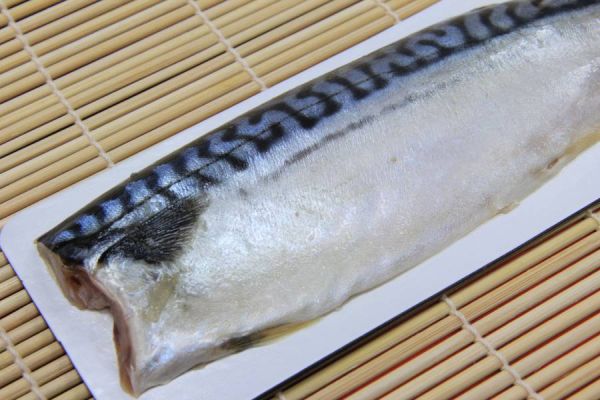 薄鹽鯖魚片 22片/箱 