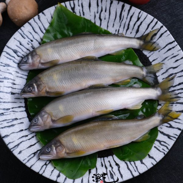 爆卵母香魚 6尾/盒 (超大尾) 
