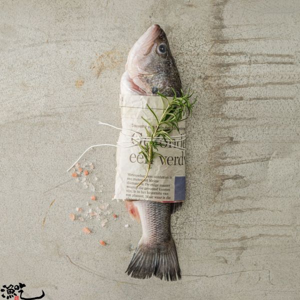 山泉鱸魚 每尾400g~500g 