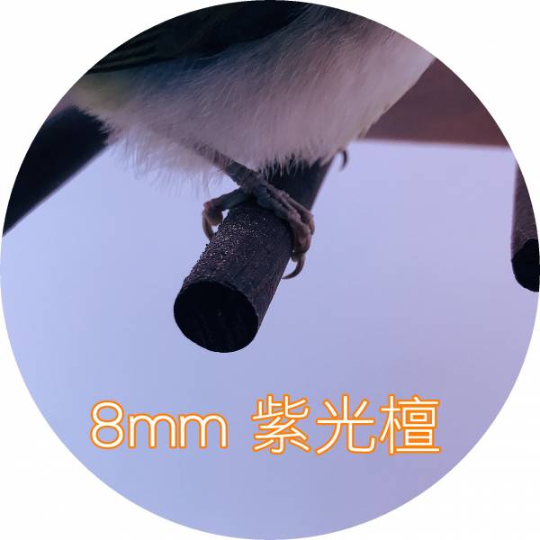 MY PET BIRD 殘疾鳥特製站架 鳥類用品
殘疾鳥站架
鳥友用品
活動食盒
鳥類飼料器
鳥寶站立器
專業鳥類配件
人性化鳥類用品
穩固支撐站架
無障礙鳥類用品
鳥類健康產品
鳥類飲水器
鳥類玩具
輕鬆移動鳥站架
鳥類訓練用品