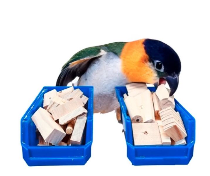 w099 原木的邊角料｜中型鸚鵡啃咬木塊 鸚鵡 啃木

鳥 玩具 DIY

天然 木塊

鸚鵡 玩具

邊角料