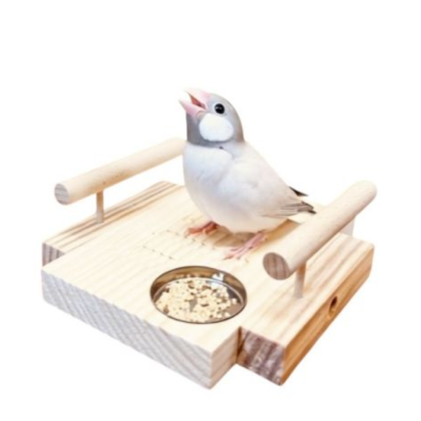 W799A 殘疾鳥專用刻紋站台｜提供穩固的平台和安全感 殘疾鳥
專用刻紋站台
刻紋站台
穩固平台
安全感
久站不穩鳥寶
防滑站台
紋路設計
特殊設計站台
照顧殘疾鳥寶