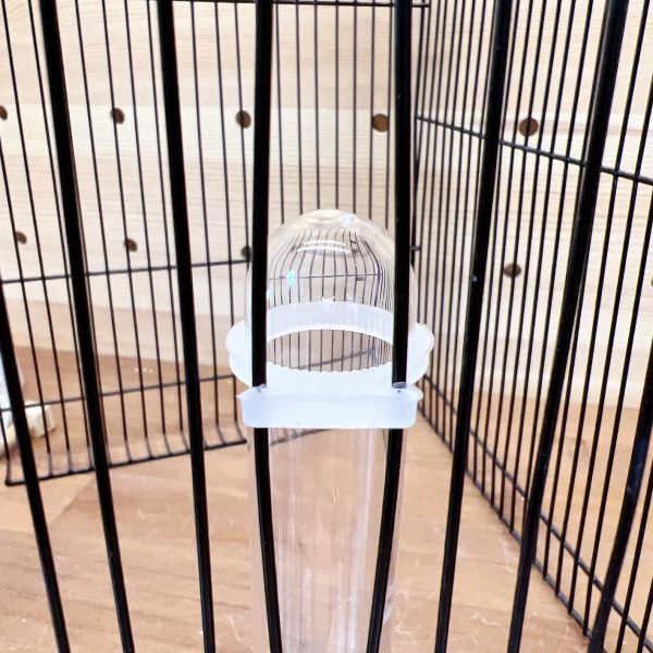 MY PET BIRD 綠繡眼專用高質感掛式玻璃飲水器 綠繡眼飲水器、玻璃製鳥用飲水器、鳥用飲水器、小鳥飲水器、鳥用潔淨飲水器、寵物鳥飲水器