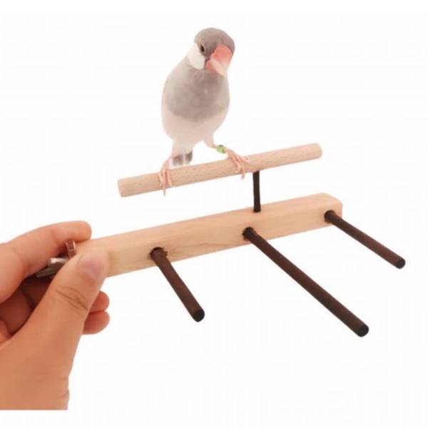 MY PET BIRD 小型鳥特製站架 鳥類用品
殘疾鳥站架
鳥友用品
活動食盒
鳥類飼料器
鳥寶站立器
專業鳥類配件
人性化鳥類用品
穩固支撐站架
無障礙鳥類用品
鳥類健康產品
鳥類飲水器
鳥類玩具
輕鬆移動鳥站架
鳥類訓練用品