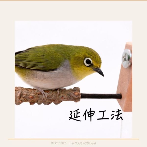 W844  綠繡眼花椒木站棍 極細 綠繡眼站台 bird perch stand
綠繡眼站架 Bird stand
綠繡眼站棍　Bird Perch
綠繡眼遊樂場 Bird Playground
綠繡眼鳥玩具 Parrot toys
綠繡眼鳥用品 bird products
綠繡眼攀爬繩 Climbing rope
綠繡眼梯子 ladder