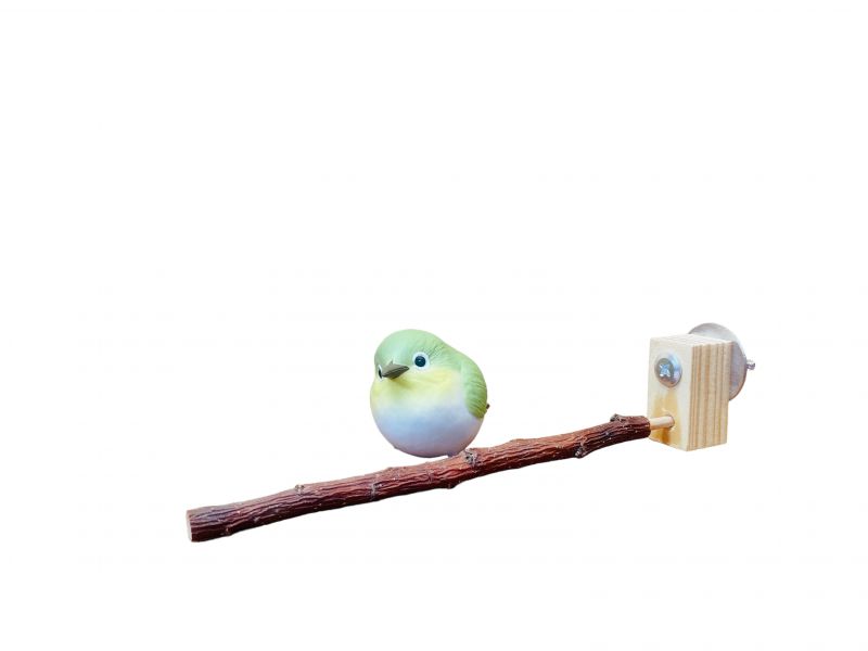 MY PET BIRD 綠繡眼原生木站棍 綠繡眼站台 bird perch stand
綠繡眼站架 Bird stand
綠繡眼站棍　Bird Perch
綠繡眼遊樂場 Bird Playground
綠繡眼鳥玩具 Parrot toys
綠繡眼鳥用品 bird products
綠繡眼攀爬繩 Climbing rope
綠繡眼梯子 ladder