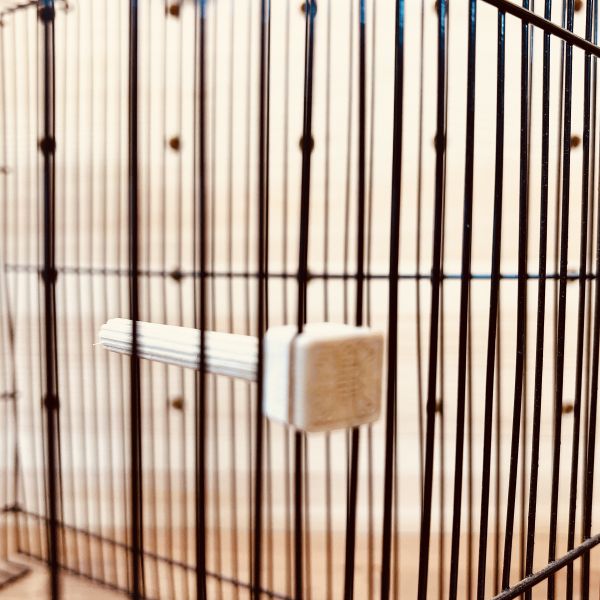 MY PET BIRD綠繡眼專用睡桿｜迷你站棍 寵物文創,鳥玩具,鸚鵡玩具,文鳥,玄鳳,和尚,虎皮,綠繡眼,凱克,寵物用品,寵物玩具,咬物