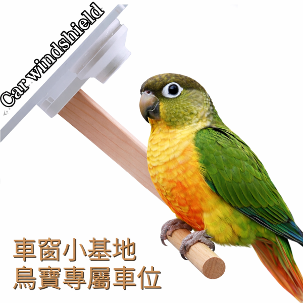 W803B 車用站架 寵物鳥用 吸盤式鳥站棍
鳥類活動站棍
吸盤式鳥類觀察器材
室內鳥類站棍
室外鳥類站棍
適用於鳥類的吸盤站棍