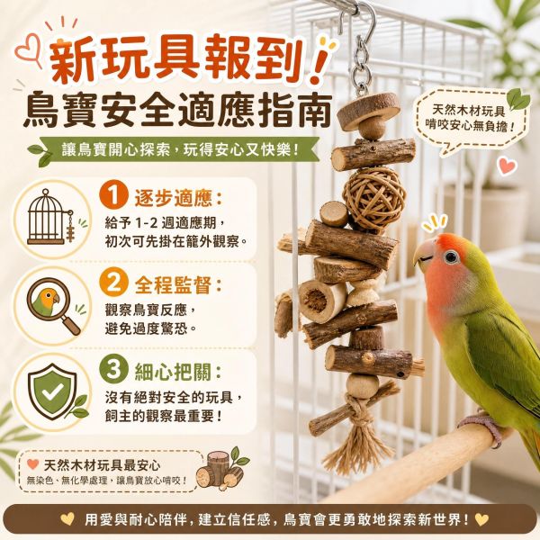199免運 鸚鵡站台
鸚鵡活動台
鳥類休息台
寵物休息訓練架
可調節高度鳥類休息台
天然木鳥類站立架
無毒寵物訓練玩具
多功能鸚鵡訓練用品
適合鸚鵡休息和站立練習的玩具