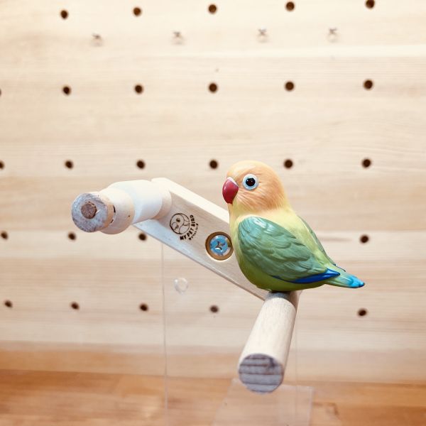 W873 鳥寶解悶首選 | 磨牙玩具 鳥用鏡子、鳥類玩具、視覺刺激、鳥類娛樂、互動玩具、心理刺激、社交模擬、健康心態、寵物鳥、愉悅體驗、愛護鳥類、實用產品
